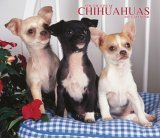 For the Love of Chihuahuas 2007 Deluxe Calendar